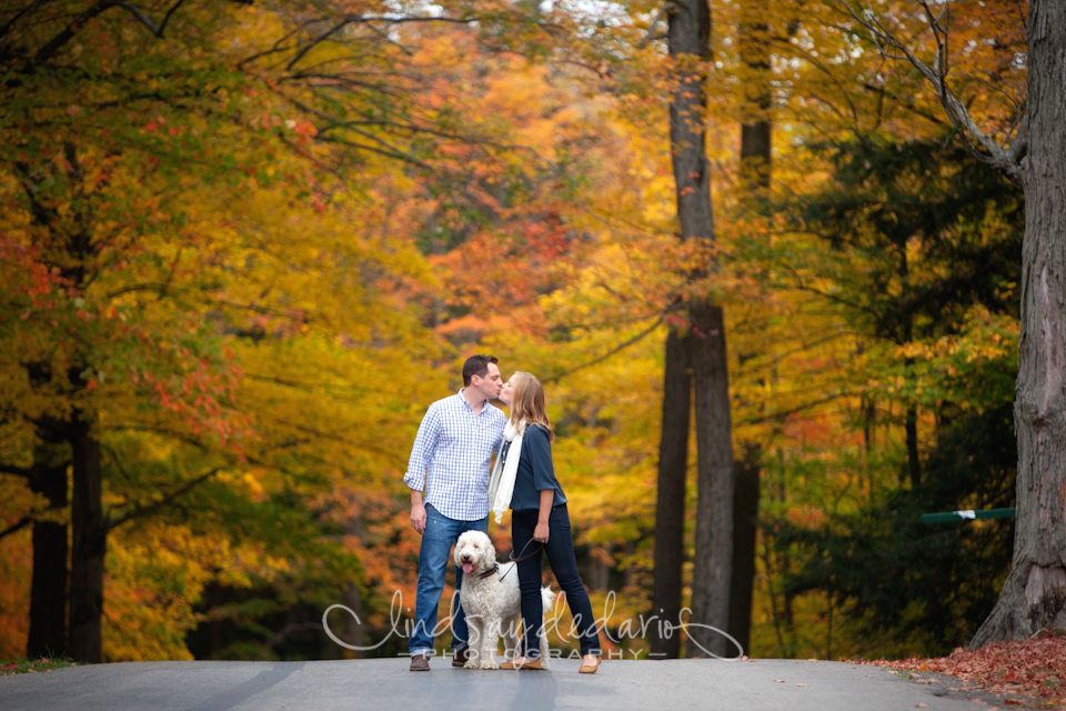 couple kisses in road in Chestnut Ridge Park during their fall foliage engagement portraits in Orchard Park, NY