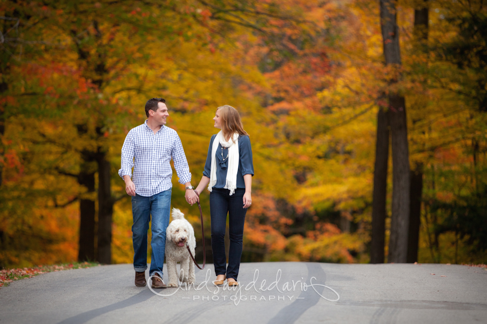 couple walks down road in Chestnut Ridge Park during their fall foliage engagement portraits in Orchard Park, NY