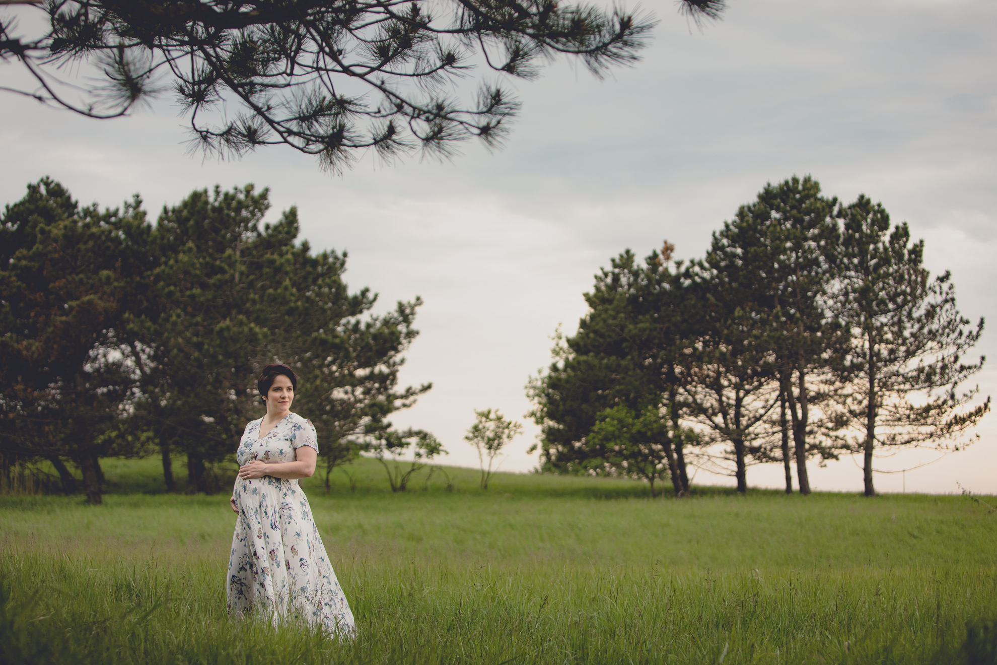 mom poses for photographer in  maternity portrait in field at Tifft Nature Preserve in Buffalo, NY