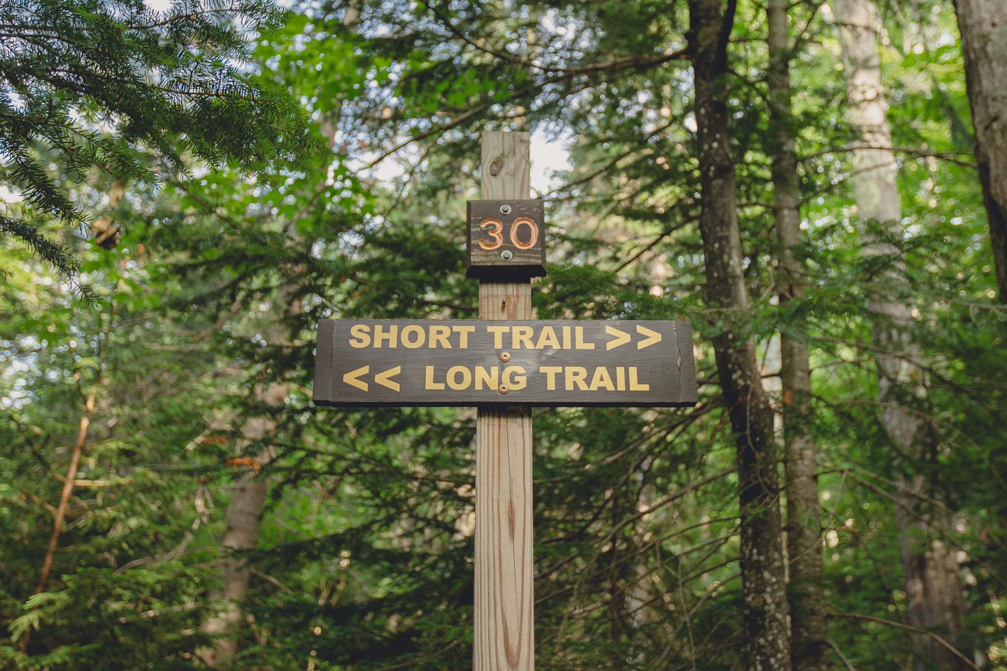 trail signage on Mount Jo in the Adirondack High Peaks Region of New York