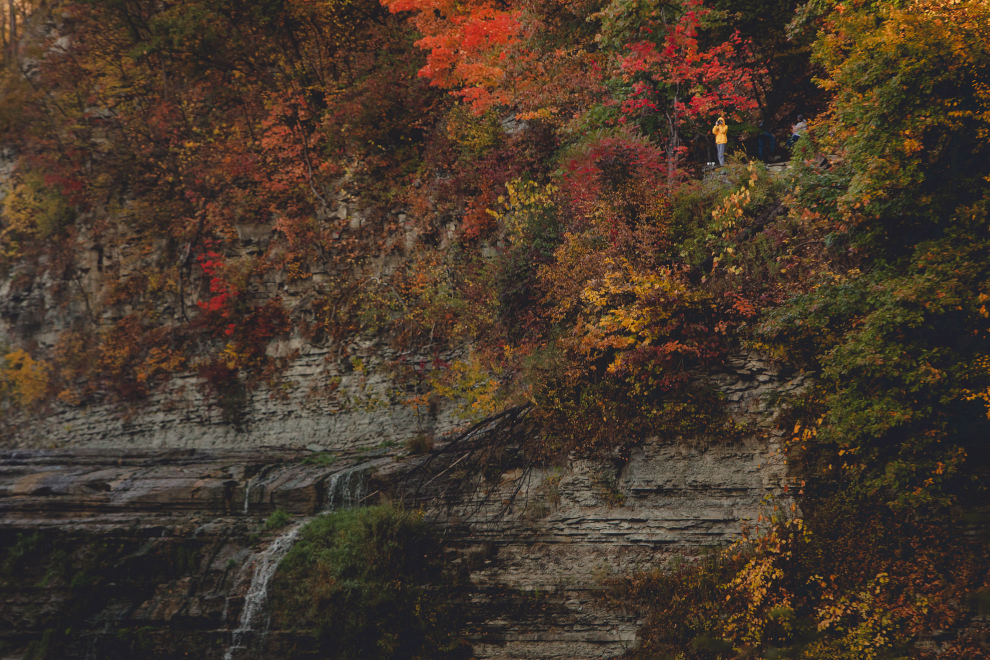 tourist in yellow rain jacket takes pictures at Upper Falls with fall colors at Letchworth State Park 