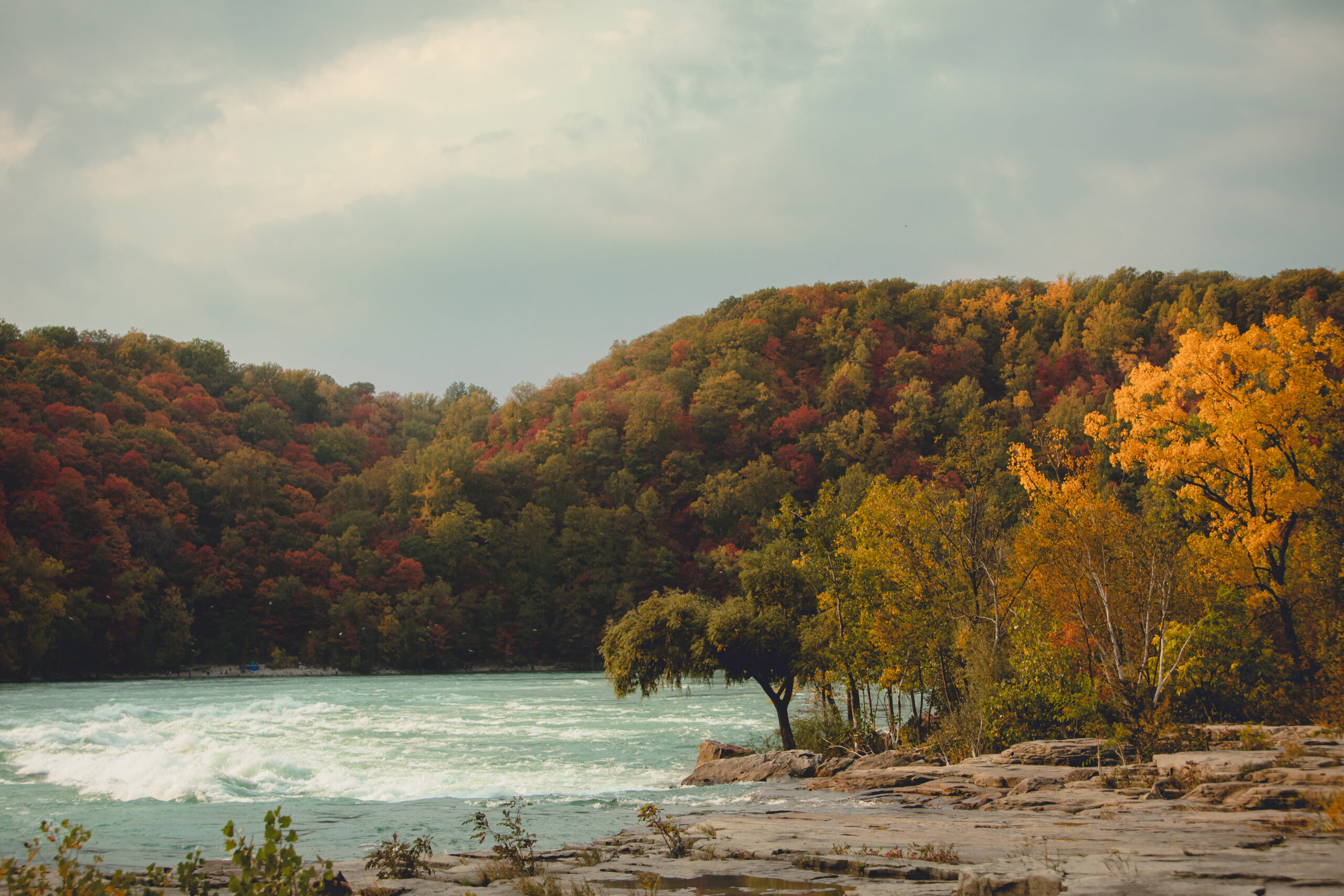 fall foliage and rapids in Whirlpool State Park in Niagara Falls, NY