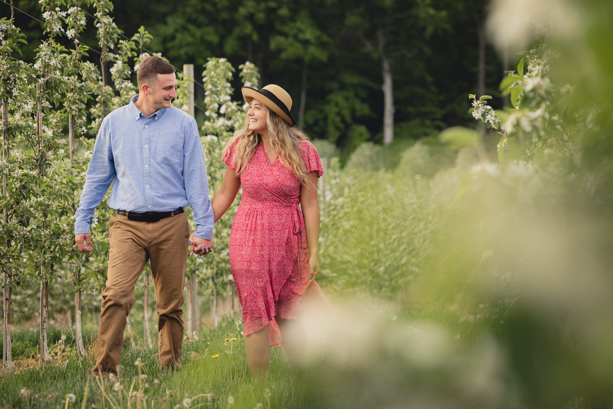 couple laughs while walking through flowering fruit trees during wedding engagement proposal photography in orchard in Niagara County