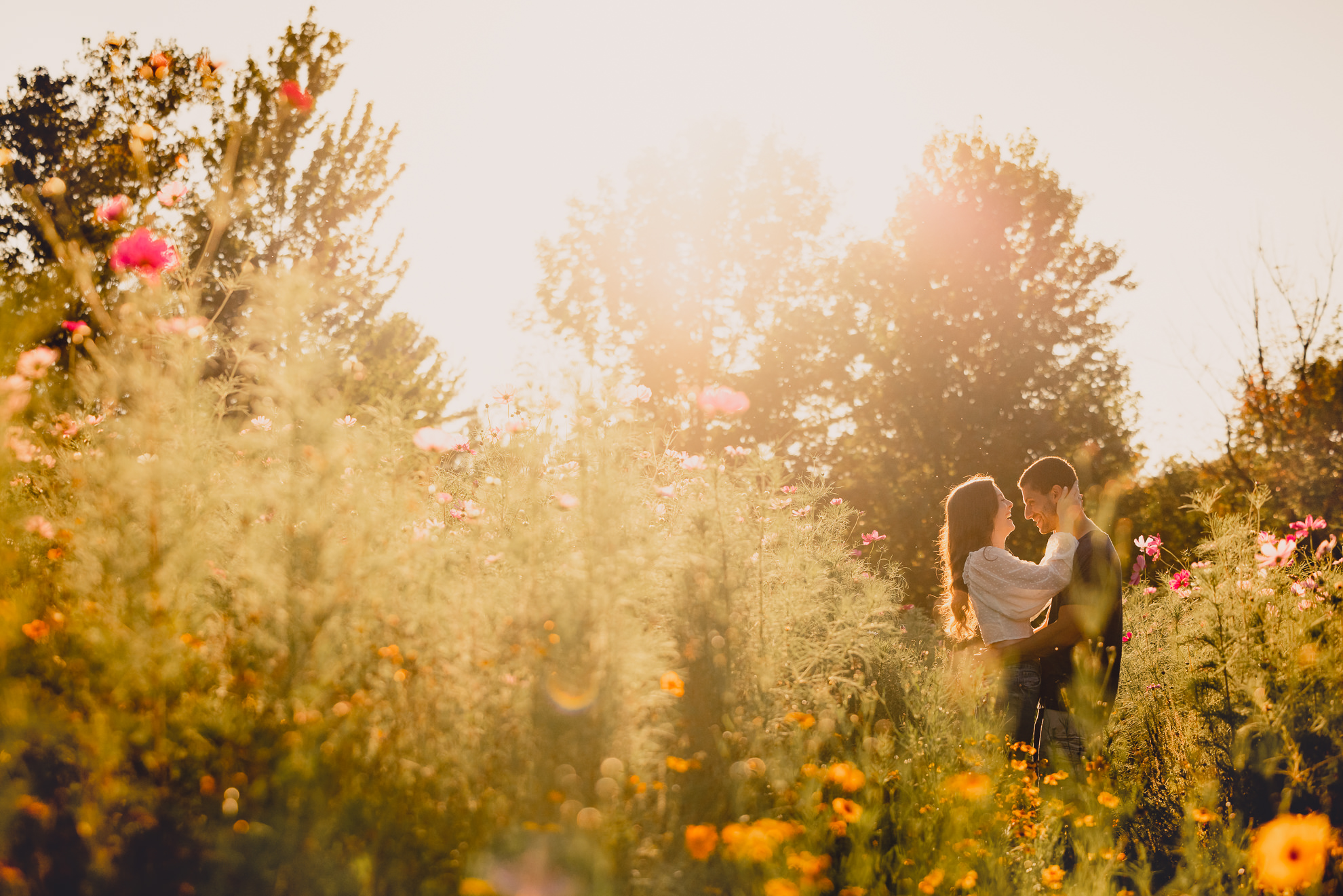 engaged couple laughs in flower field during engagement photography session near Buffalo, NY