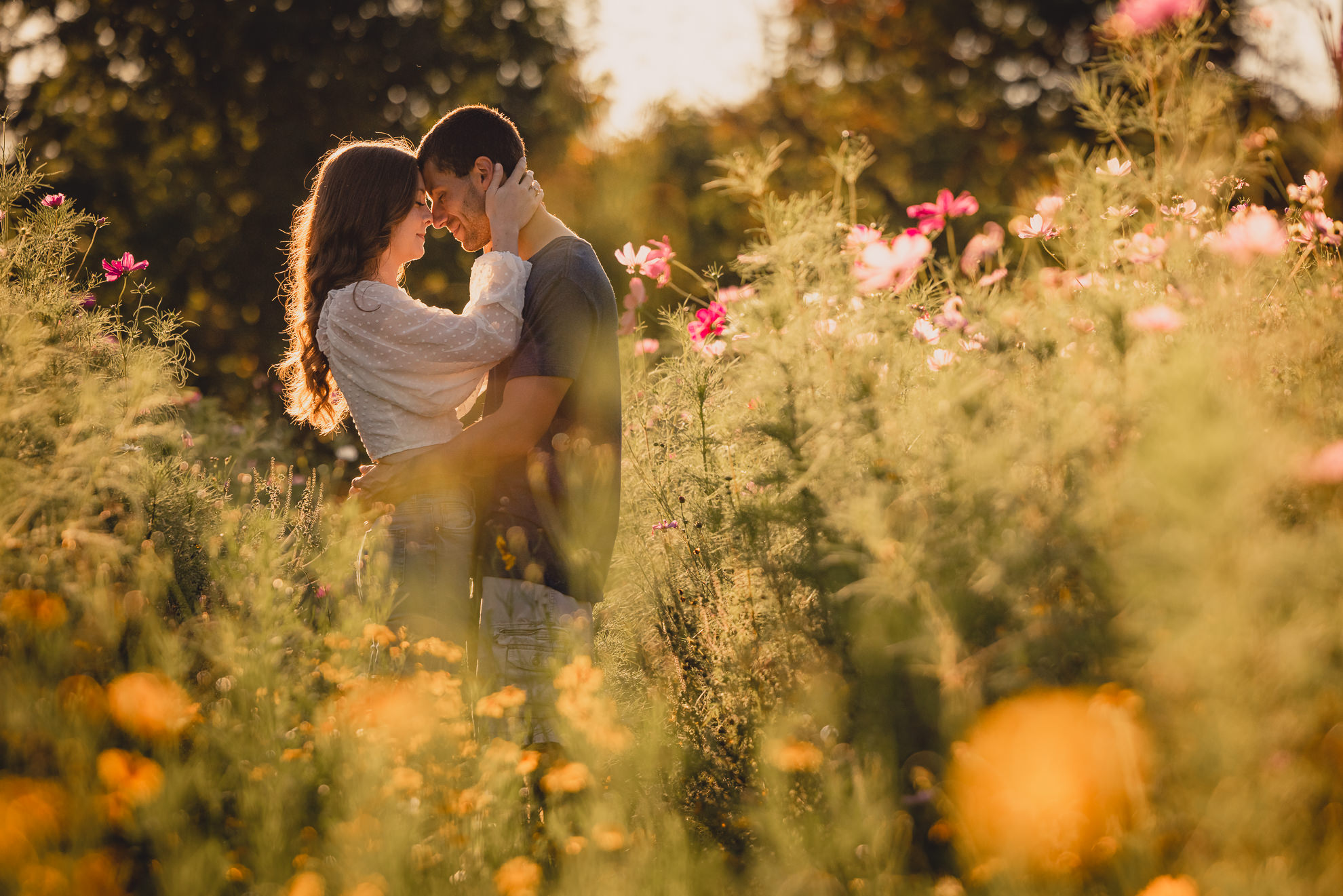 engaged couple embraces in flower field during engagement photography session near Buffalo, NY
