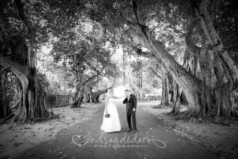 groom kisses brides hand under banyan trees after destination wedding ceremony on Gasparilla Island Boca Grande, FL