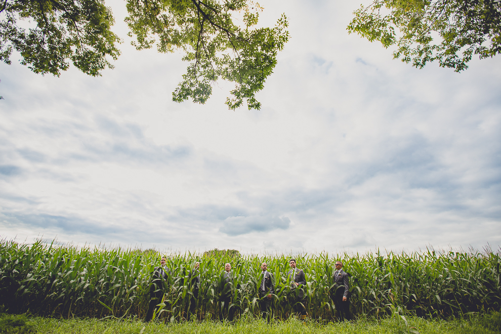 bridal party poses for portraits at sunken pond at a Hayloft in the Grove in East Aurora, near Buffalo, NY