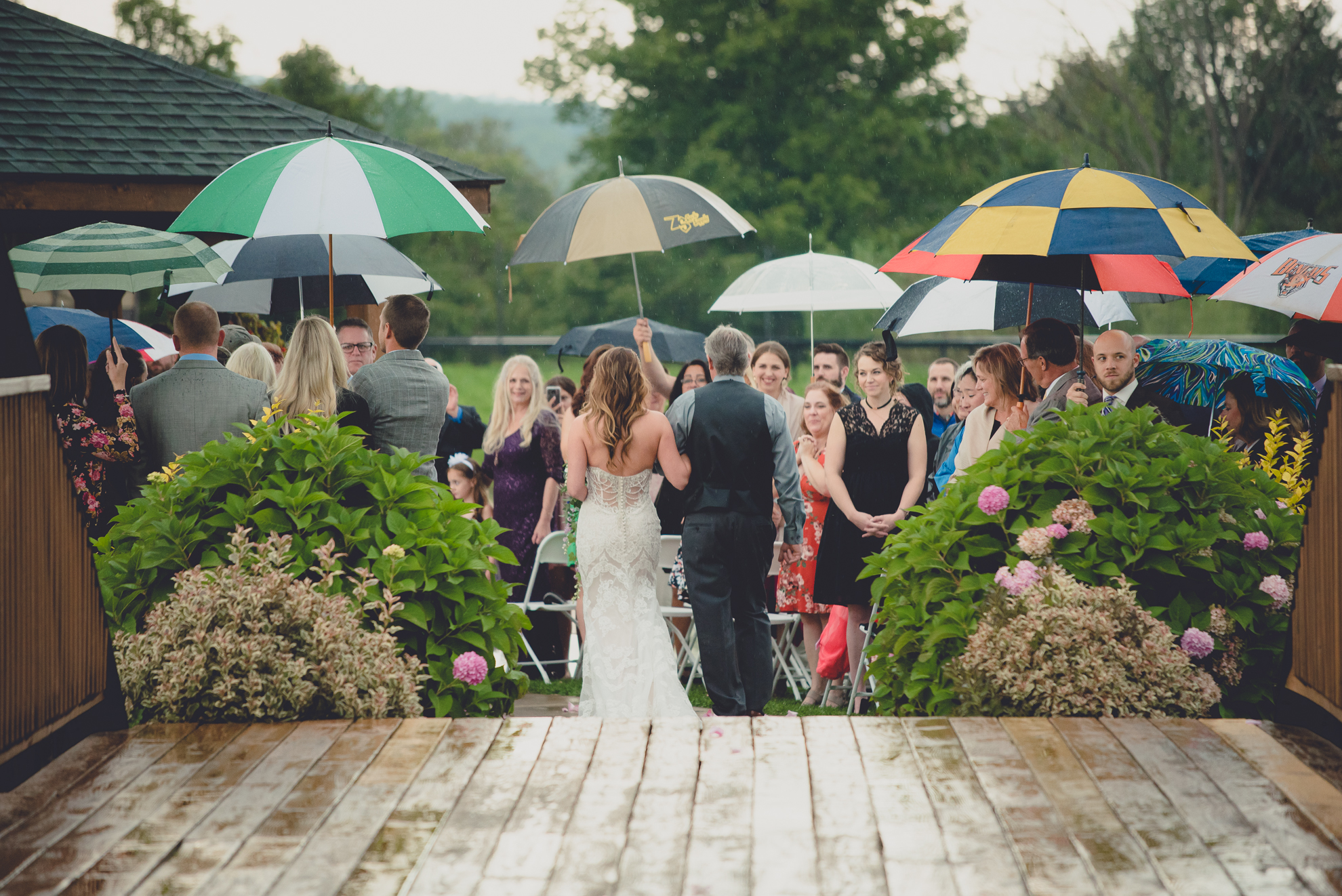 guests hold colorful umbrellas as bride walks down the aisle during wedding ceremony at hidden valley animal adventure near Buffalo, NY