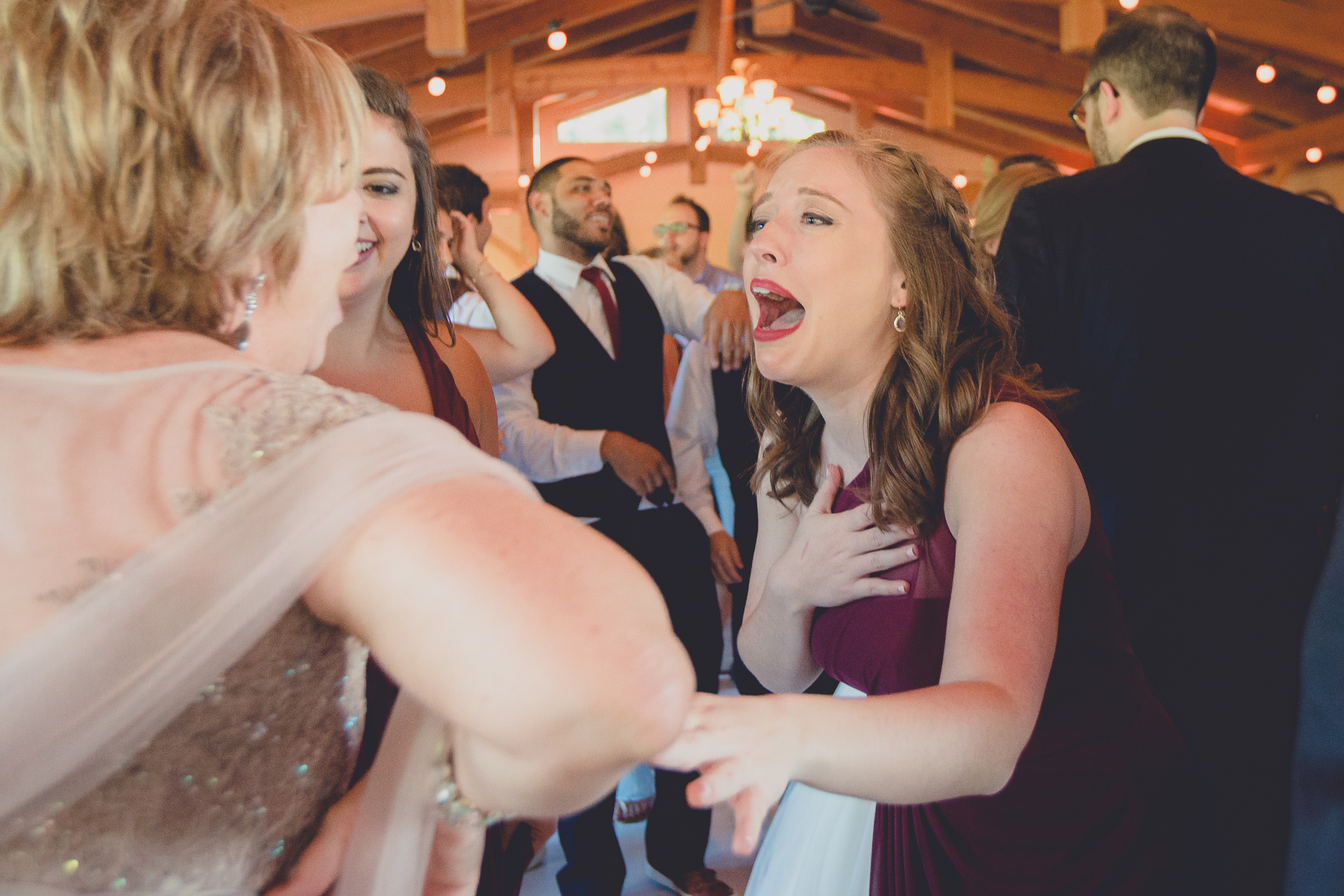 guests dance during outdoor wedding reception at Spring Lake Winery venue near Buffalo in WNY