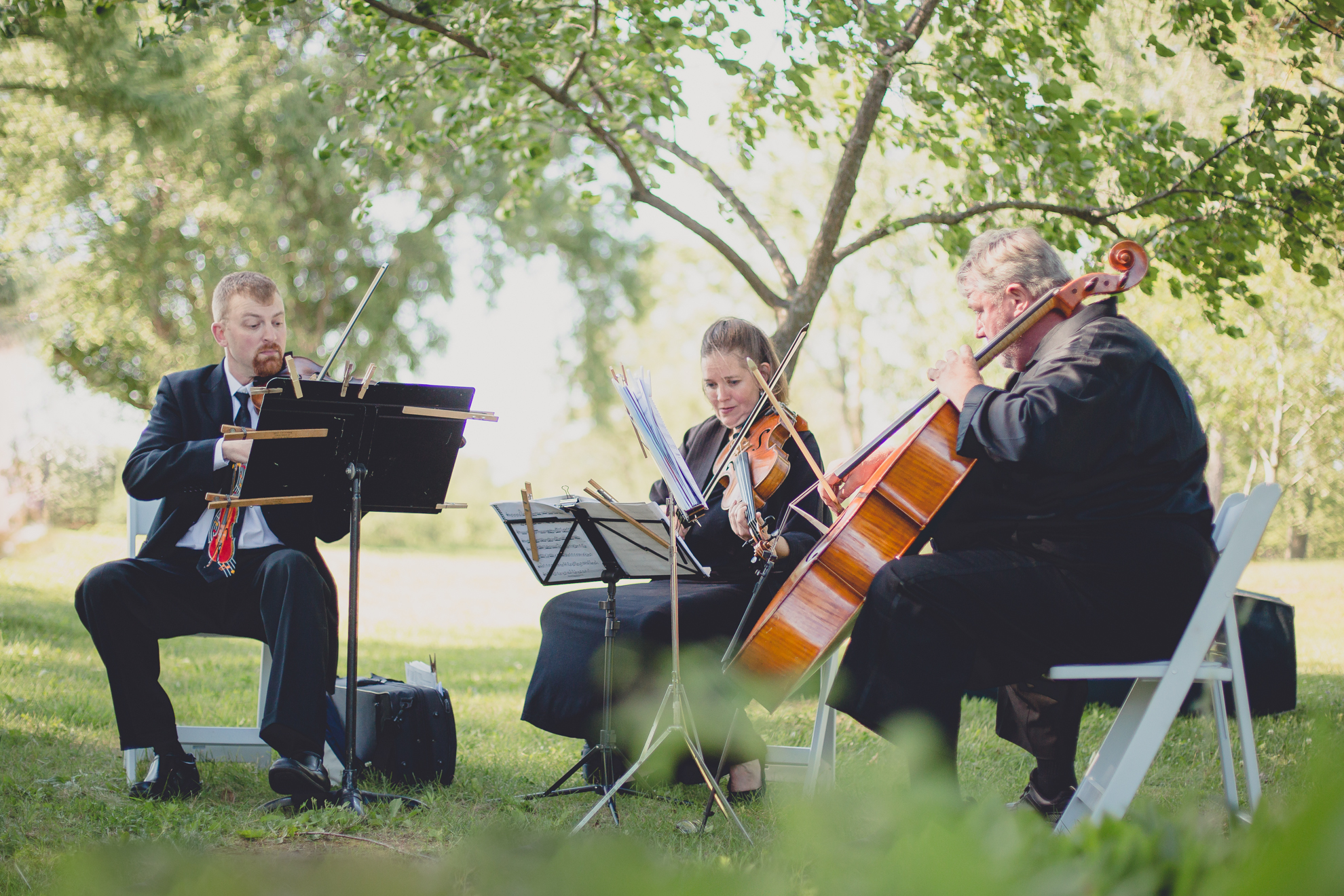 String Brothers perform at Spring Lake Winery in Niagara County before WNY wedding