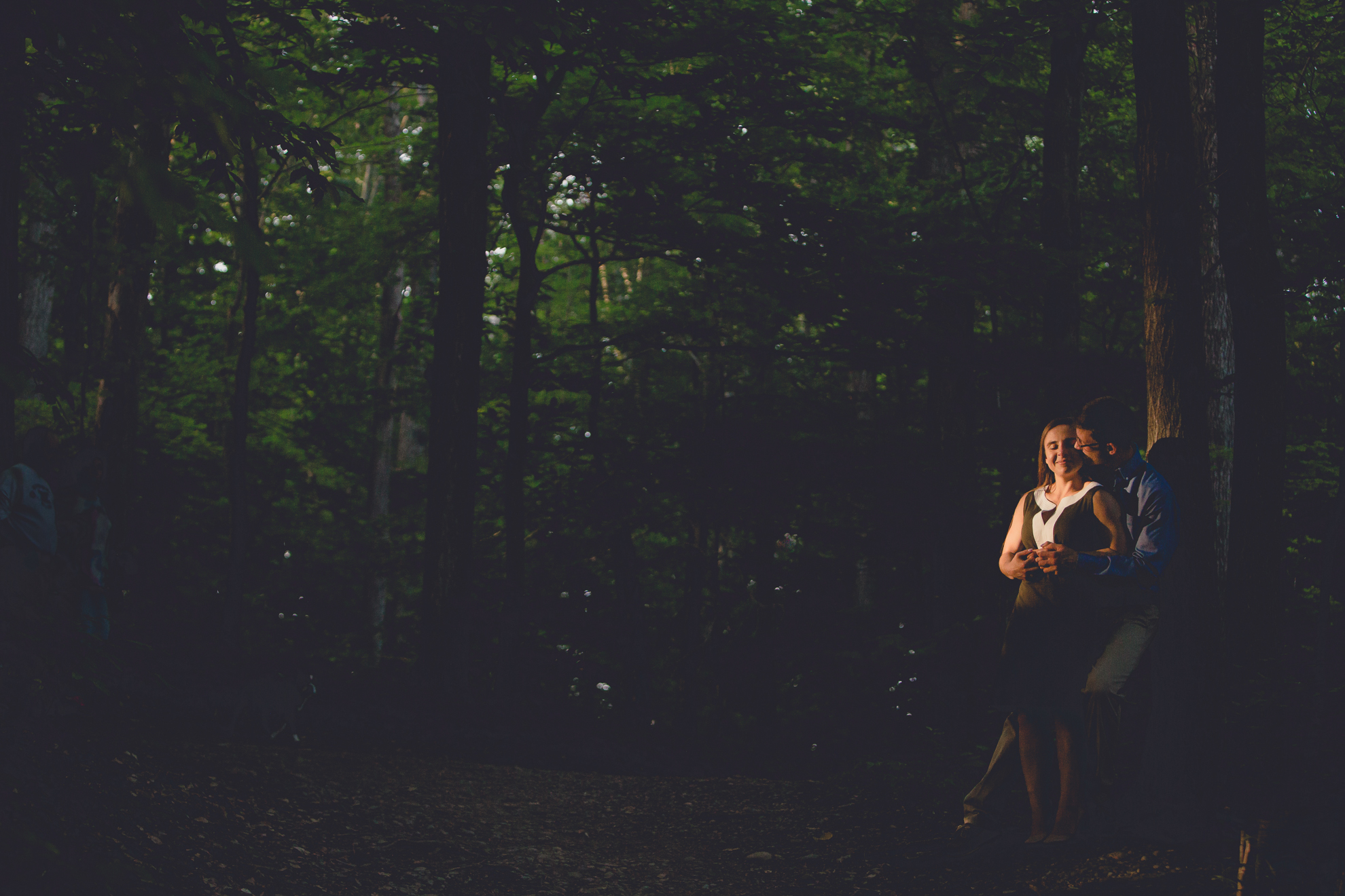 bride and groom kiss in field during wedding engagement photography at Knox Farm State Park near Buffalo, NY