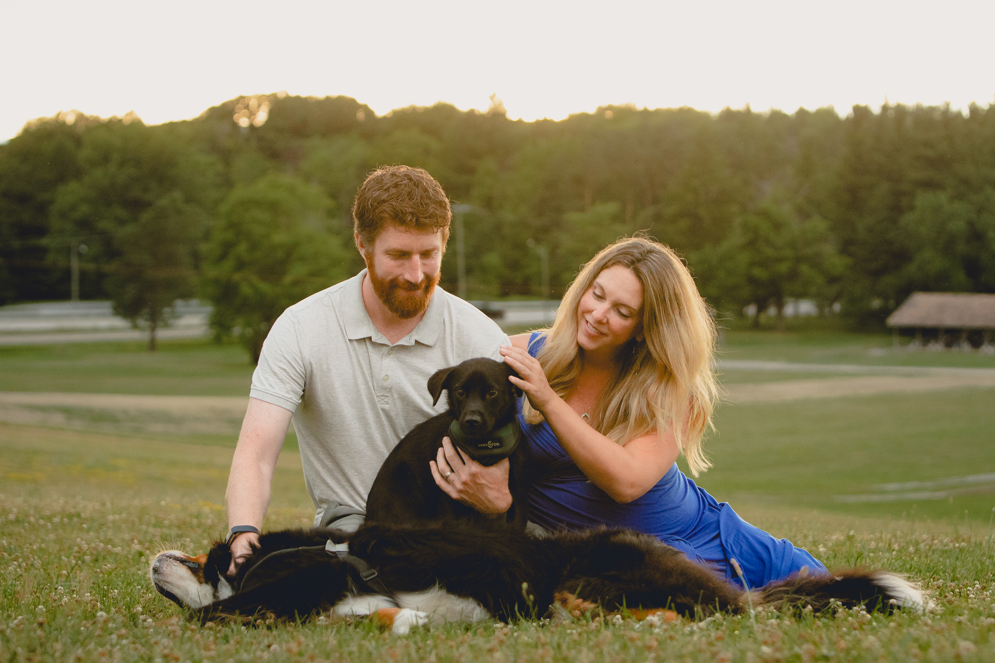 maternity portrait of expecting mom and dad playing with dogs in grass at Chestnut Ridge Park near Buffalo, NY