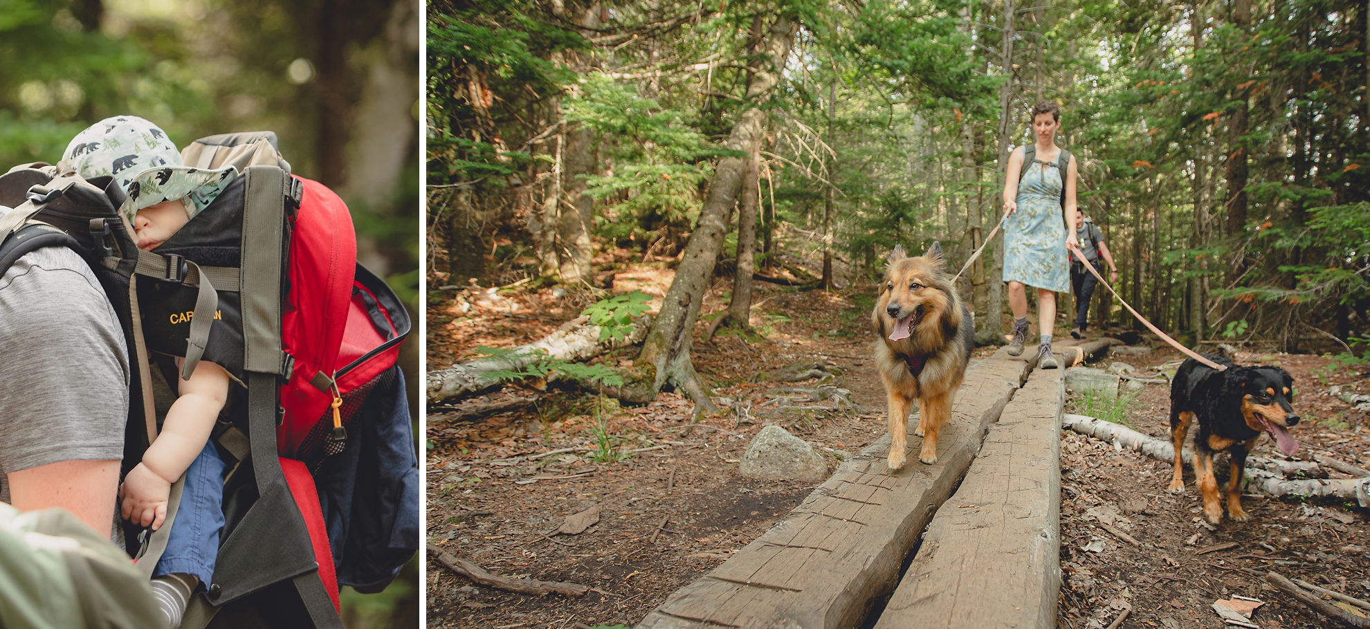 family hikes up Mount Jo during their photojournalistic family photography session in the Adirondack High Peaks Region of NY