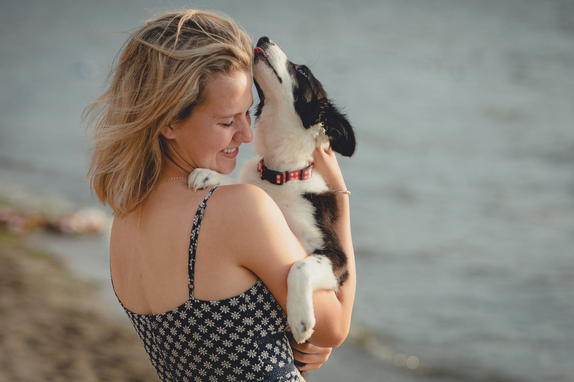 wny student plays with boarder collie puppy during senior portrait photography session at Long Point State Park on Lake Chautauqua in Bemus Point, NY