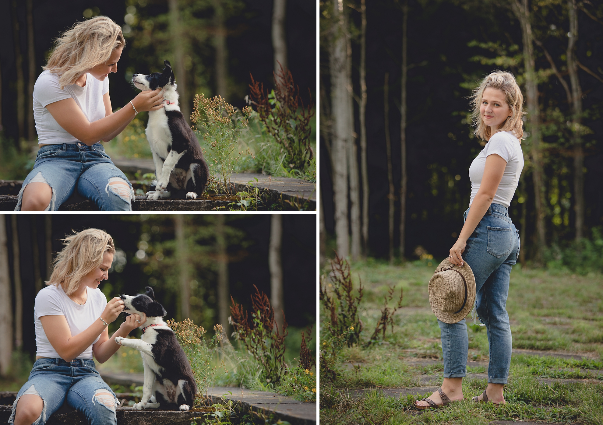 wny student plays with boarder collie dog during senior portrait photography session at Long Point State Park on Lake Chautauqua in Bemus Point, NY