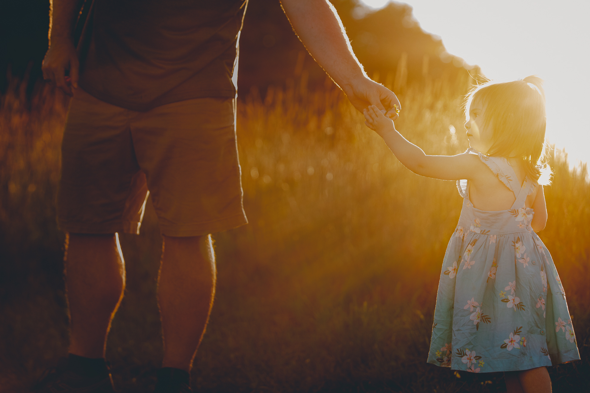 father gives daughter flower during family portrait photography session at Knox Farm in East Aurora, a small town near Buffalo