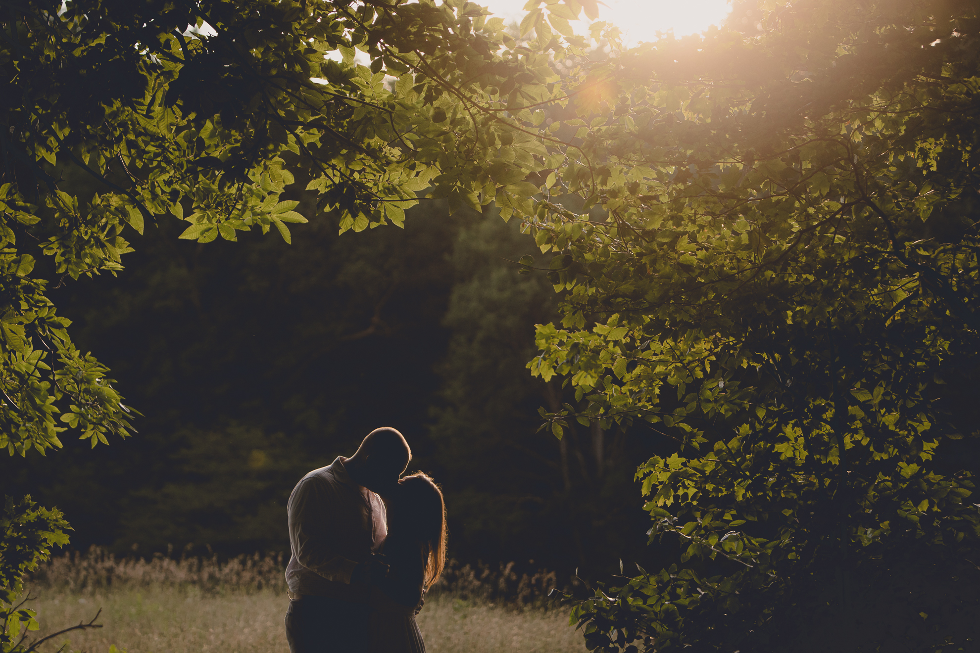 bride and groom kiss during wedding photography engagement portrait session at Knox Farm near Buffalo, NY