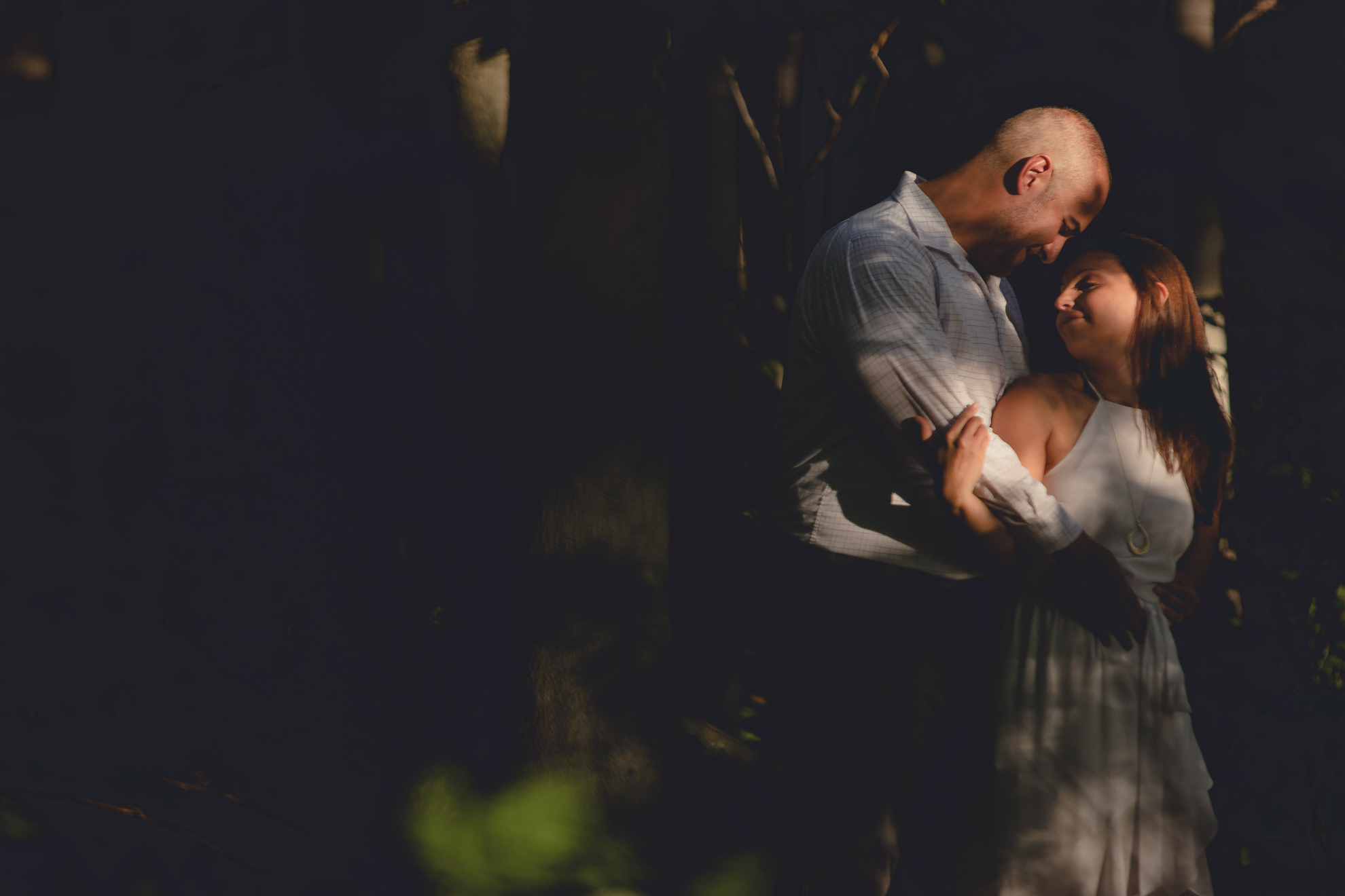 bride and groom touch foreheads during wedding photography engagement portrait session at Knox Farm near Buffalo, NY