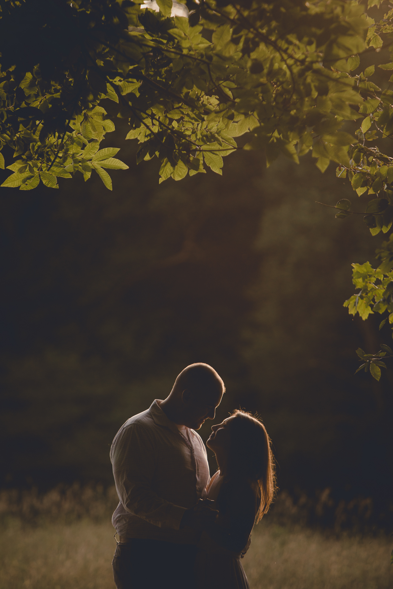 engaged couple looks at each other during wedding photography engagement portrait session at Knox Farm near Buffalo, NY