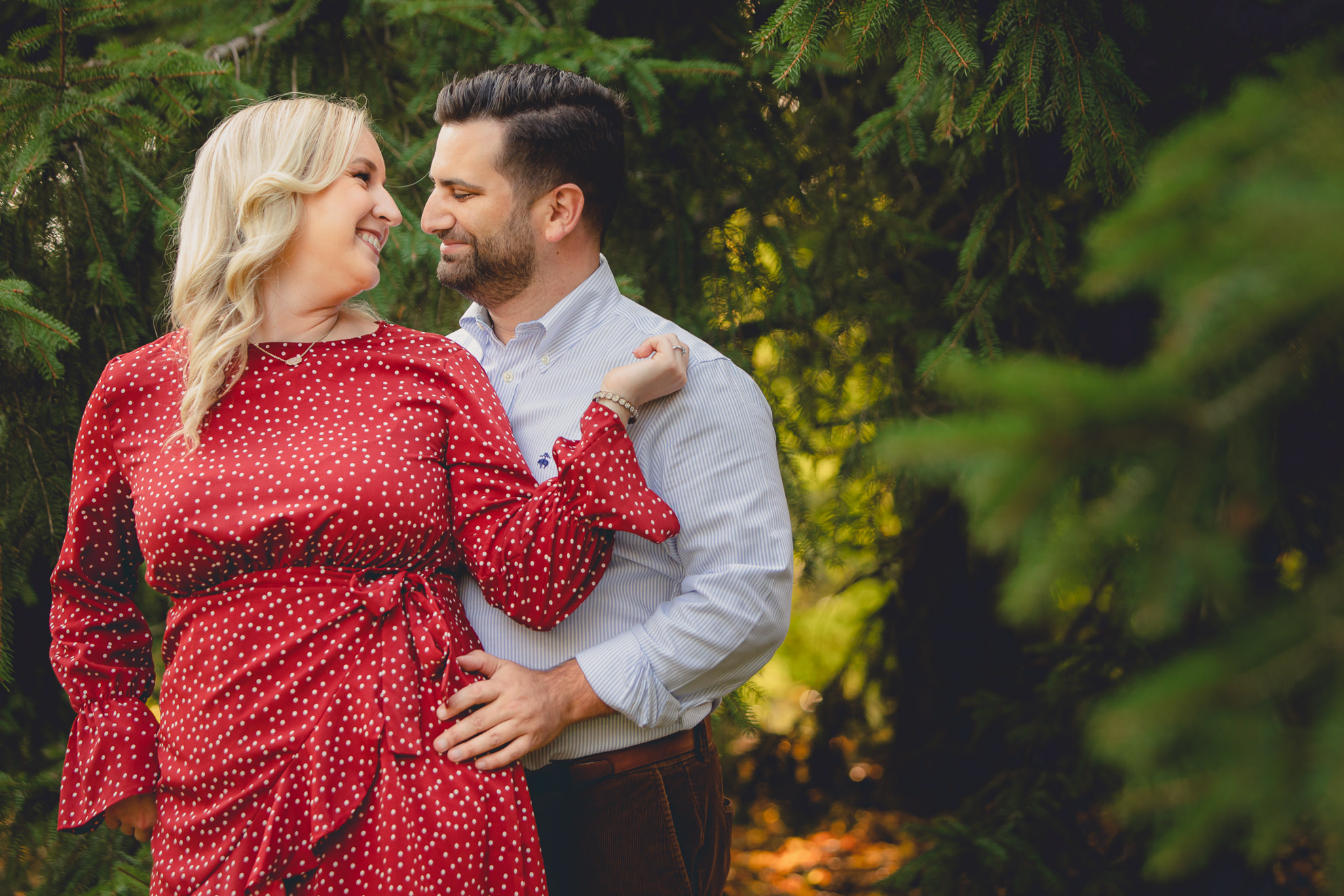 wedding engagement photography with winter evergreens in Delaware Park in Buffalo, NY