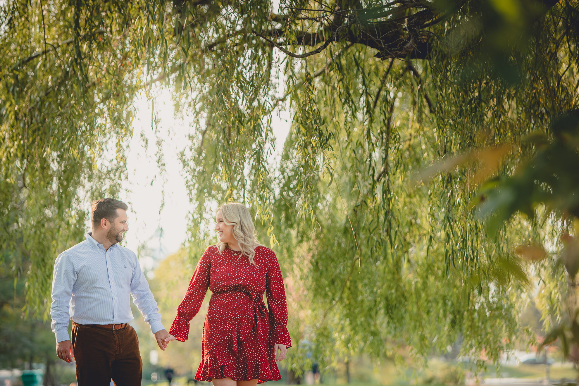 wedding engagement photography at hoyt lake in Delaware Park in Buffalo, NY