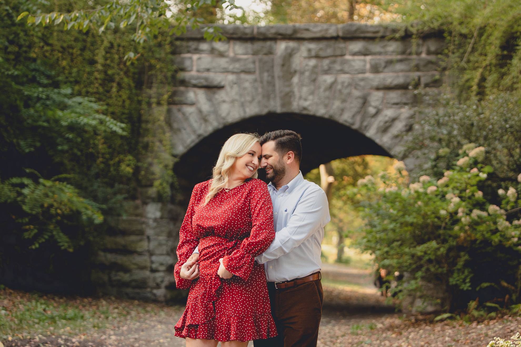 wedding engagement photography at Ivy Bridge in Delaware Park in Buffalo, NY