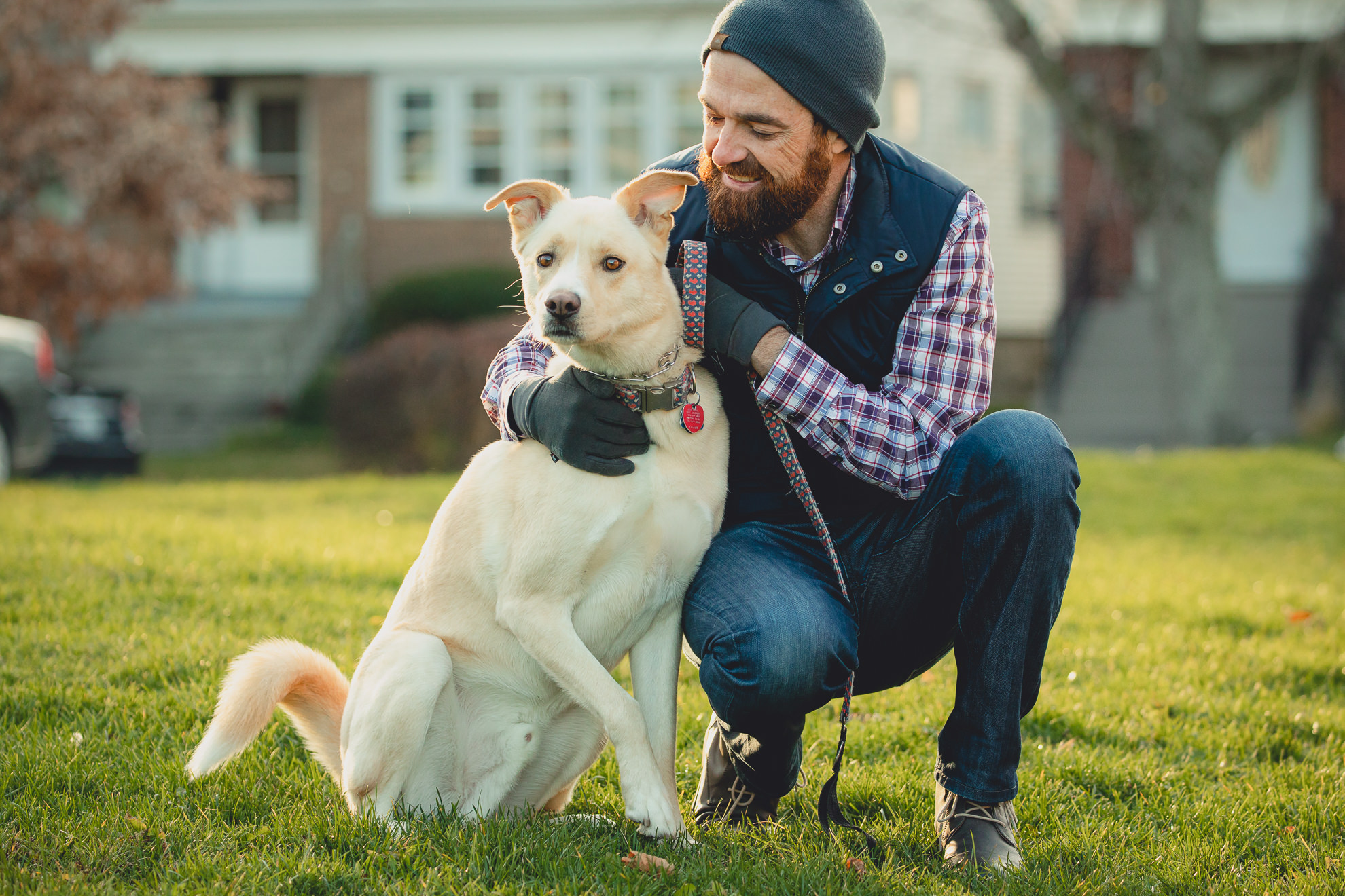 man plays with dog during couples mini photography session on Hertel Ave. in North Buffalo, NY