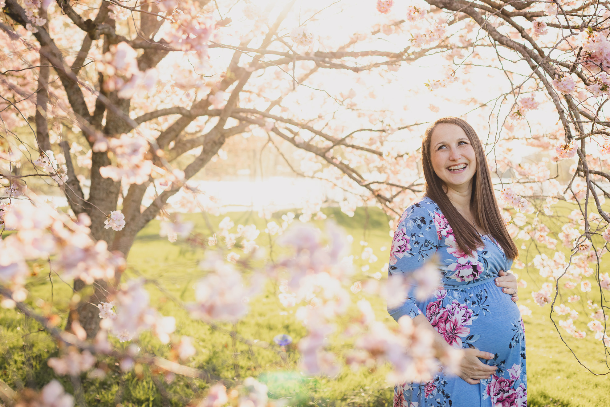 pregnant woman poses for photographer during maternity portrait photography session with cherry blossoms in Delaware Park in Buffalo, NY