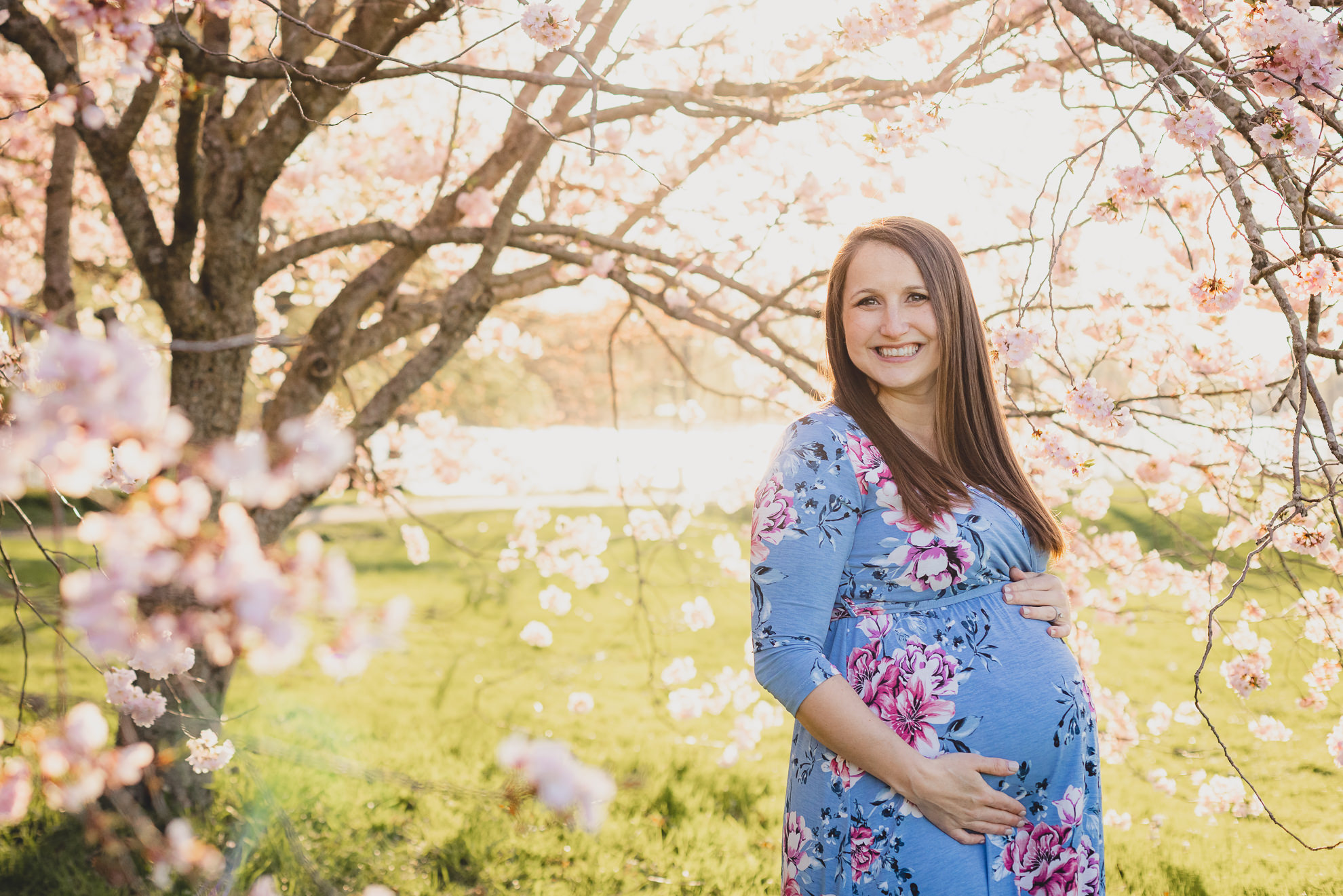 pregnant woman poses for photographer during maternity portrait photography session with cherry blossoms in Delaware Park in Buffalo, NY