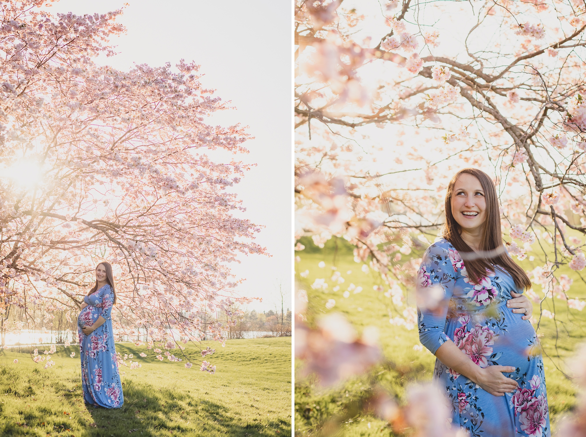 pregnant woman poses for photographer during maternity portrait photography session with cherry blossoms in Delaware Park in Buffalo, NY