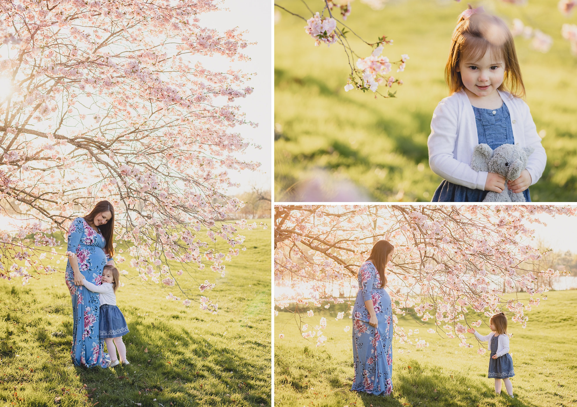 family poses for photographer during maternity portrait photography session with cherry blossoms in Delaware Park in Buffalo, NY