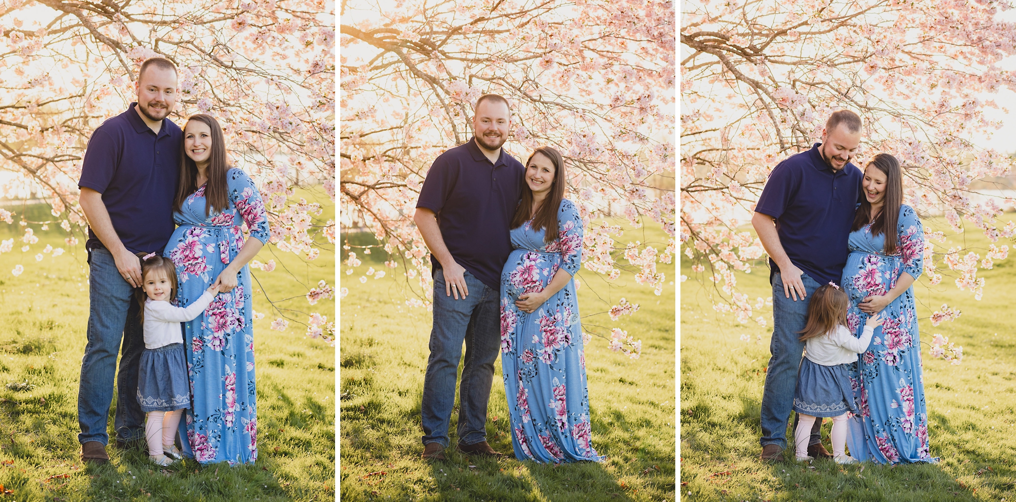 family poses for photographer during maternity portrait photography session with cherry blossoms in Delaware Park in Buffalo, NY