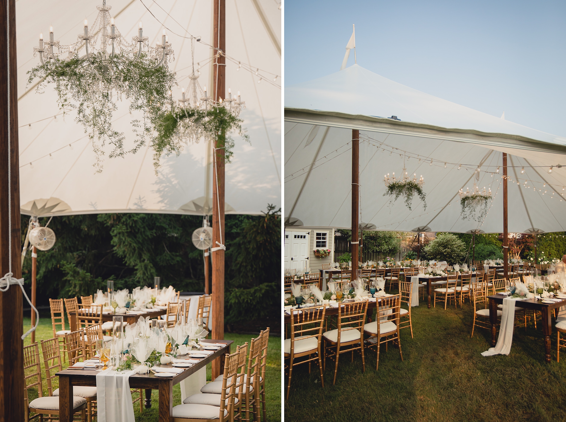 backyard tented wedding decor and rentals in Buffalo, NY