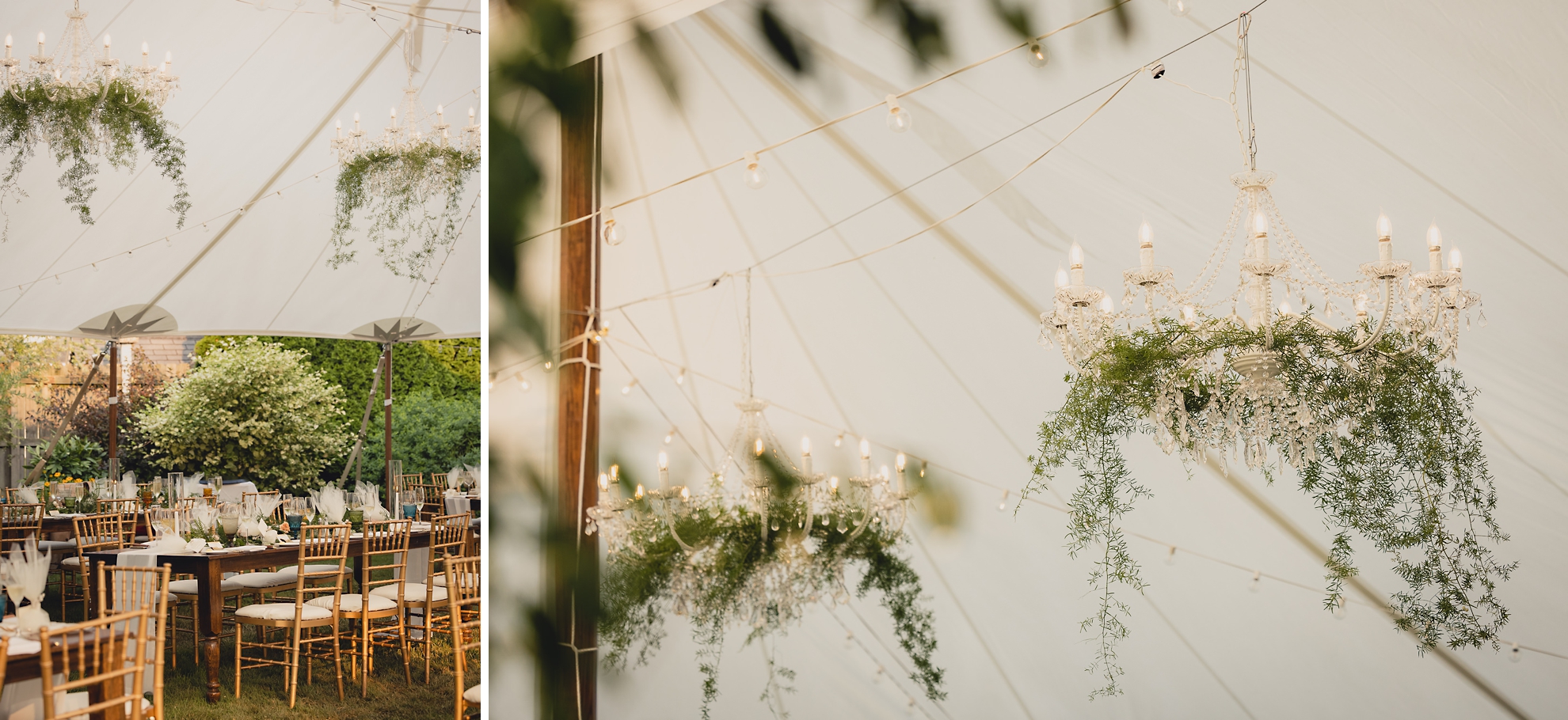 backyard tented wedding decor and rentals in Buffalo, NY