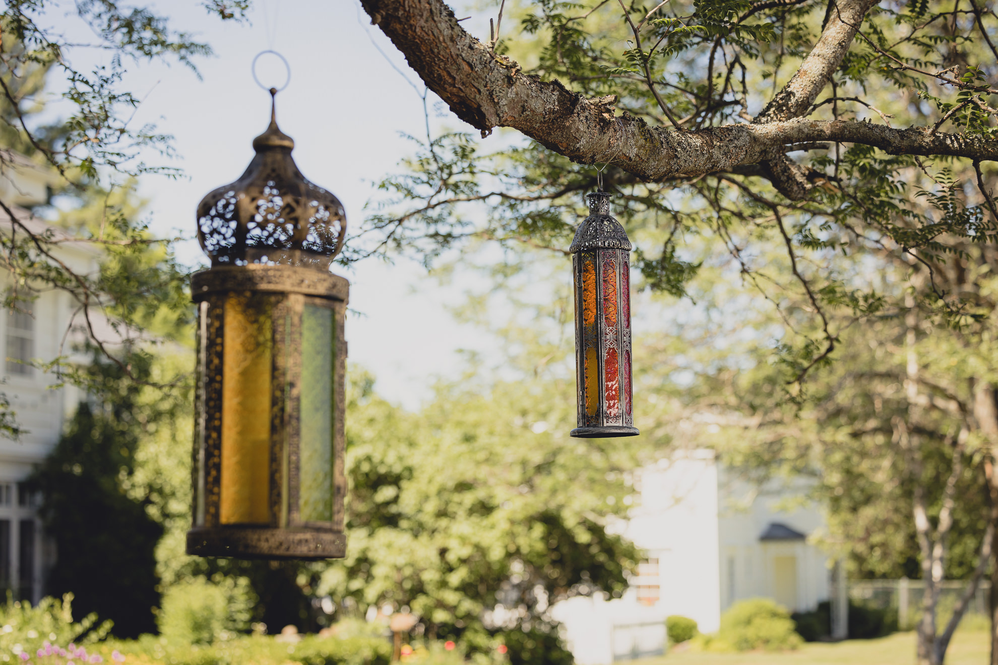 lanterns hang from tree at outdoor tented wedding reception at Knox Farm in East Aurora, NY