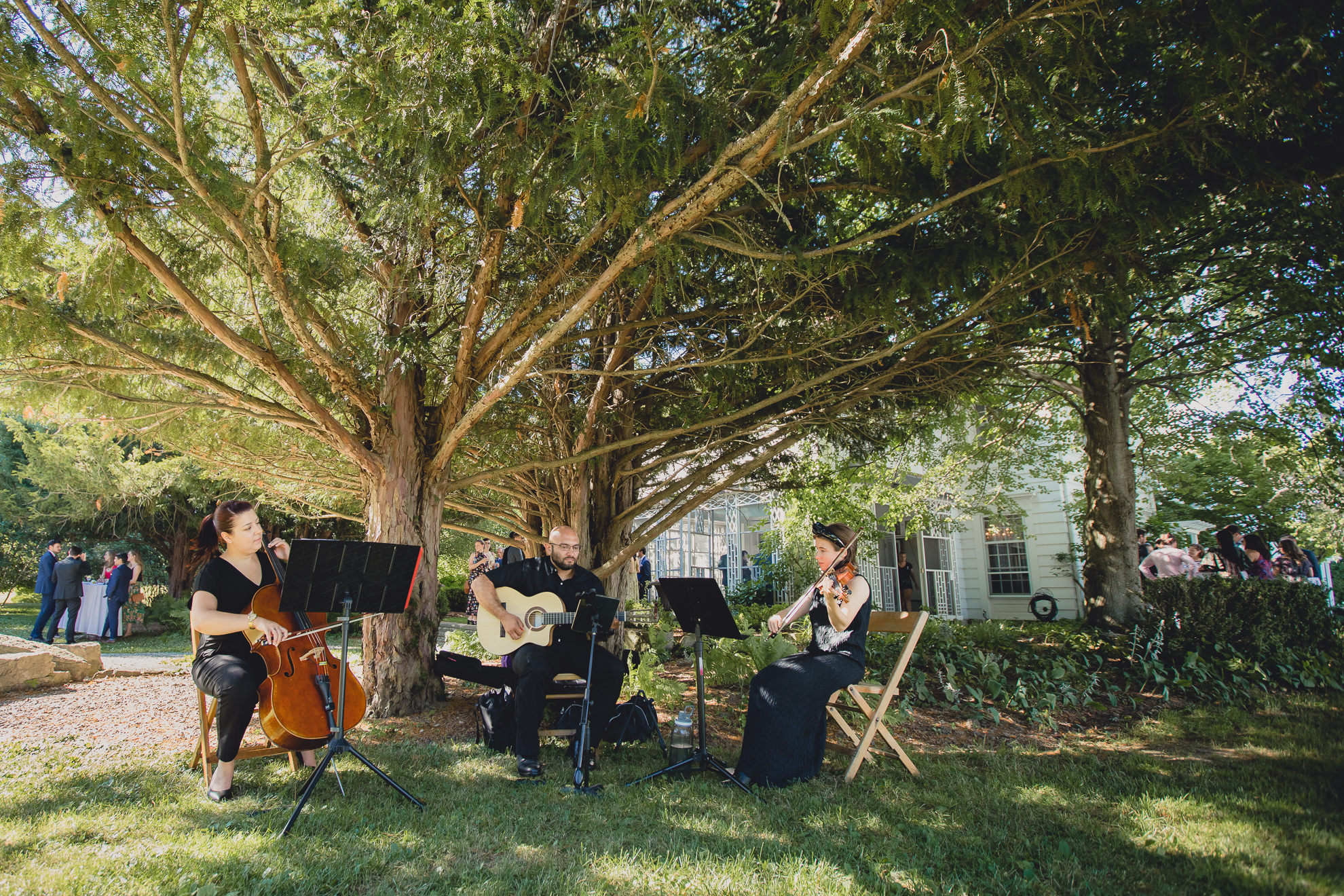 string musicians play at outdoor tented wedding reception at Knox Farm in East Aurora, NY