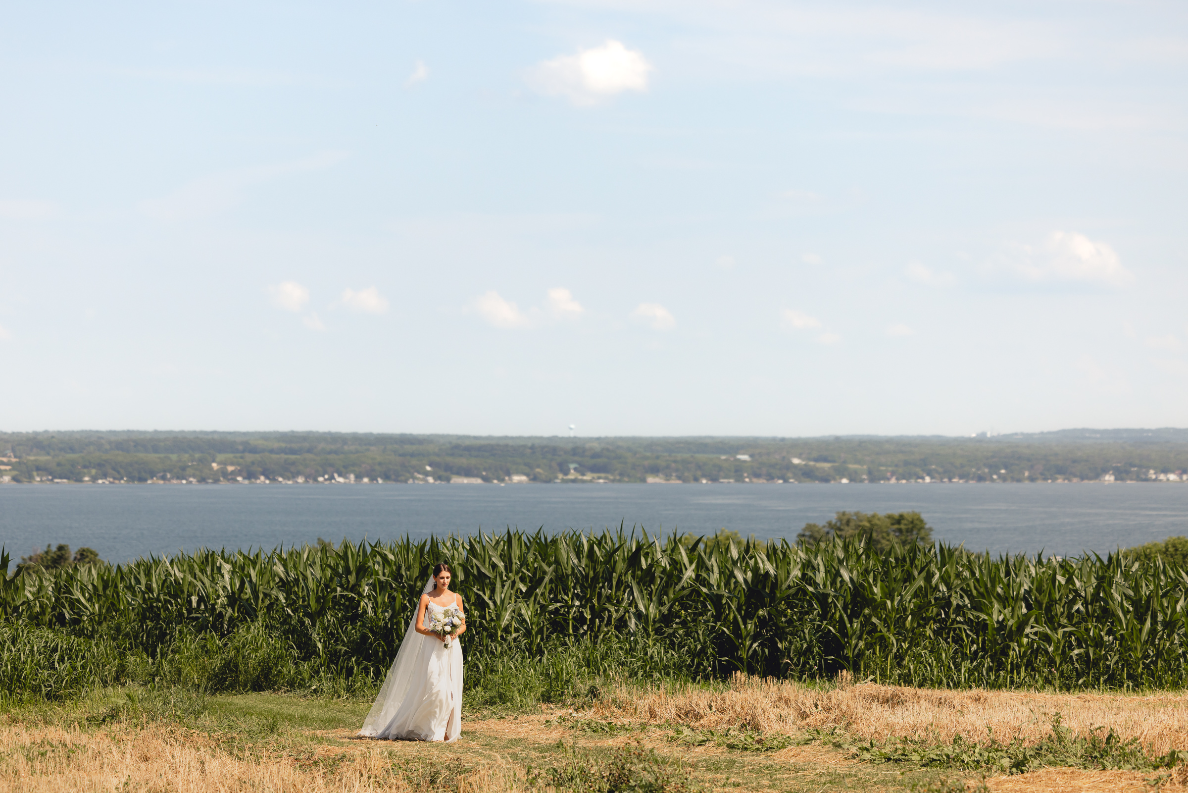 bride walks through corn field at wedding ceremony at The North Farm overlooking Seneca Lake in Geneva, NY