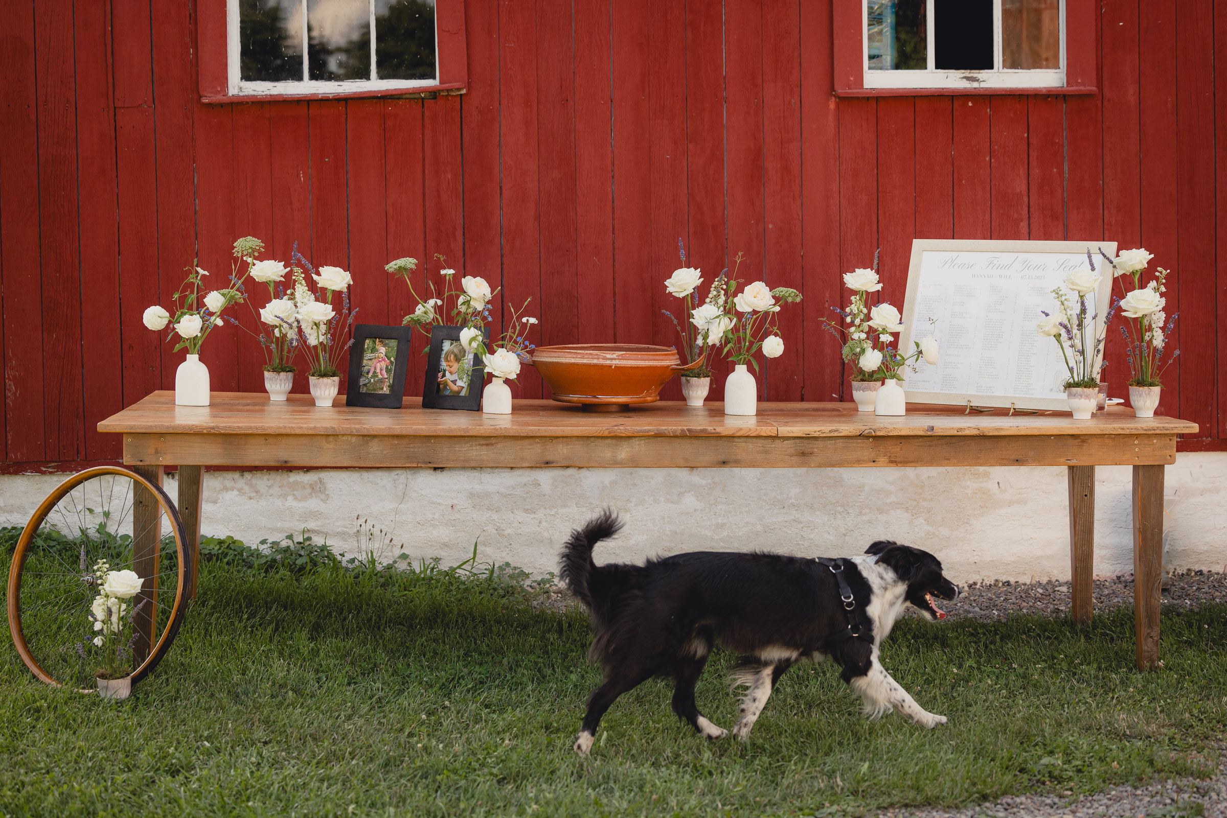 decor styled by Simply Beautiful Events and florals by Pistil and Pollen at wedding reception in barn at The North Farm in Geneva, NY