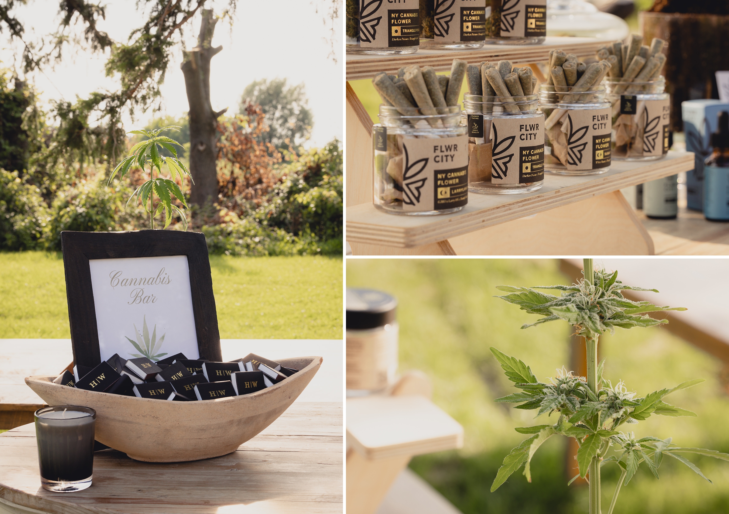cannabis bar at wedding reception in barn at The North Farm in Geneva, NY