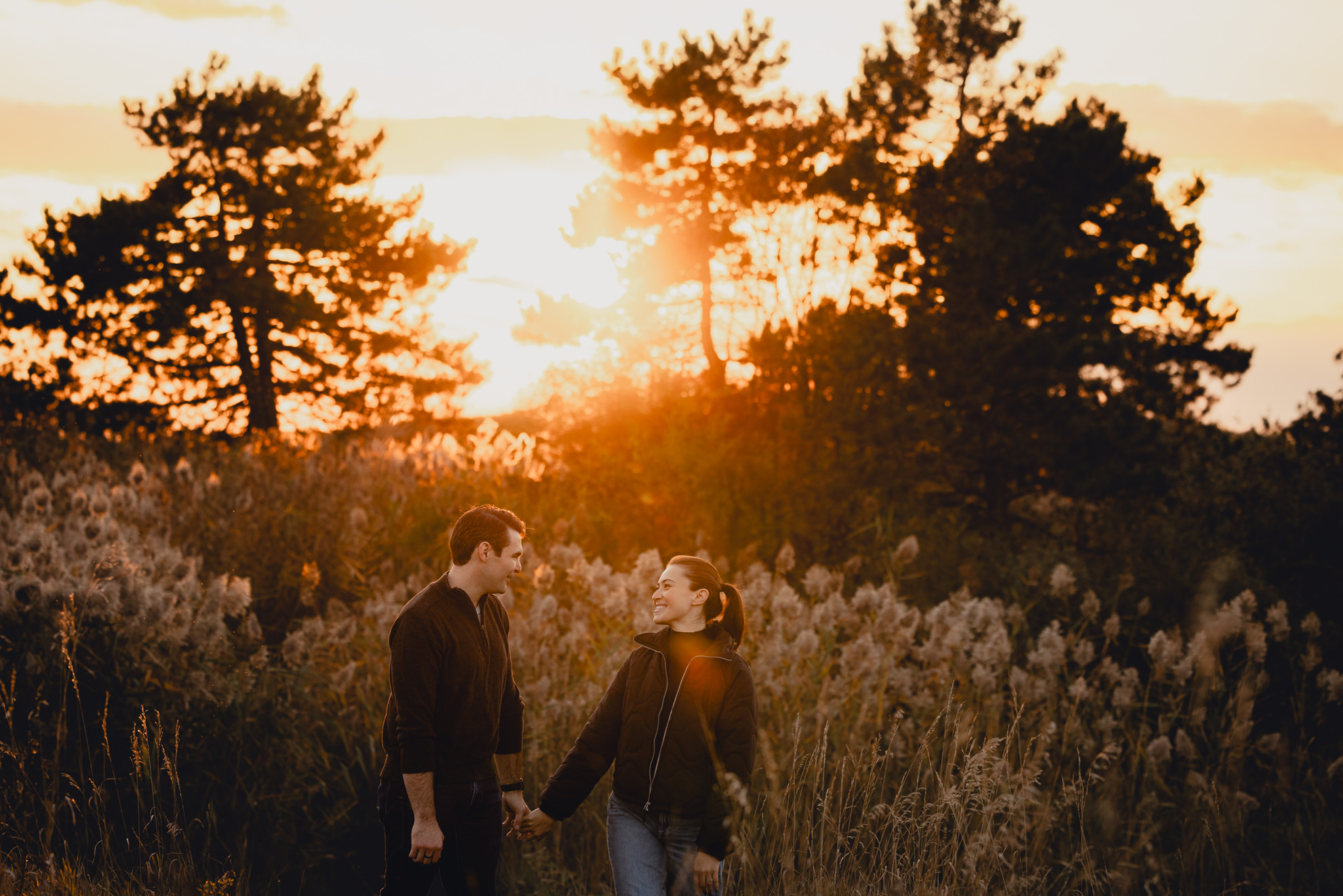 couple holds hands in field at sunset during wedding engagement photos in Buffalo NY